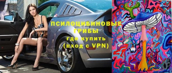 твердый Горно-Алтайск