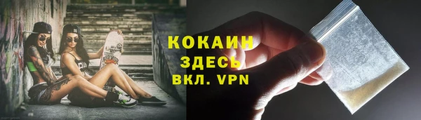 твердый Горно-Алтайск