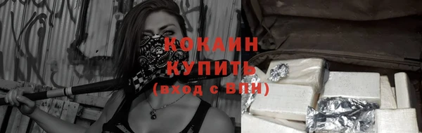 твердый Горно-Алтайск