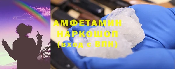 шишки Инсар