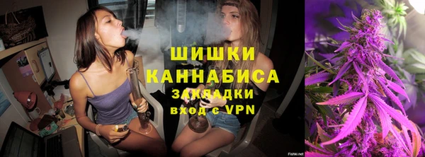 твердый Горно-Алтайск