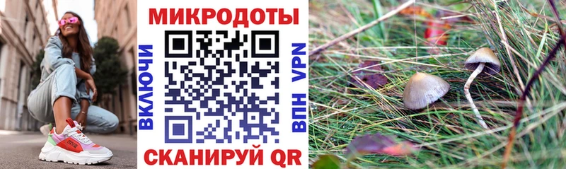 Псилоцибиновые грибы Cubensis  где найти   Джанкой 